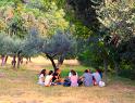 IMG_1517 copy